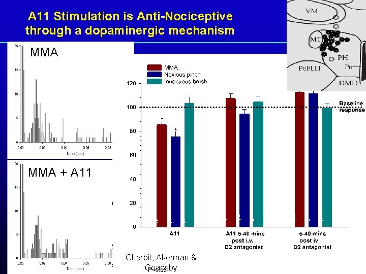 A 11 Stimulation is Anti-Nociceptive through a dopaminergic mechanism MMA + A 11 Charbit,