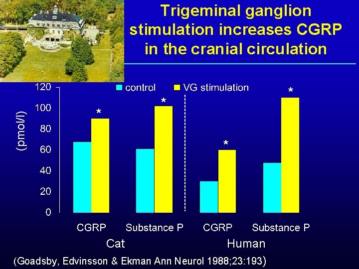 (pmol/l) Trigeminal ganglion stimulation increases CGRP in the cranial circulation * * Cat Human