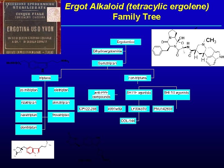 Ergot Alkaloid (tetracylic ergolene) Family Tree CH 3 H H 