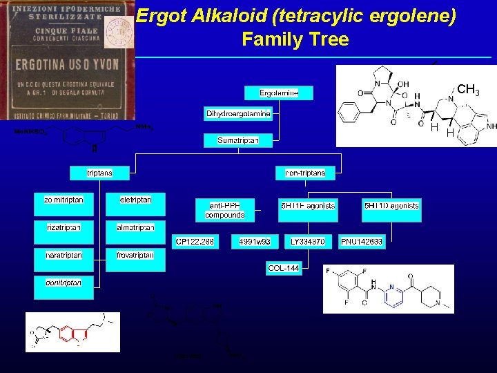 Ergot Alkaloid (tetracylic ergolene) Family Tree CH 3 H H 