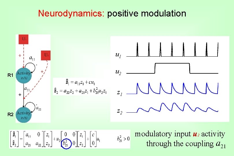 Neurodynamics: positive modulation u 1 R 1 u 2 z 1 R 2 z