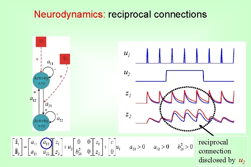 Neurodynamics: reciprocal connections u 1 u 2 z 1 z 2 reciprocal connection disclosed