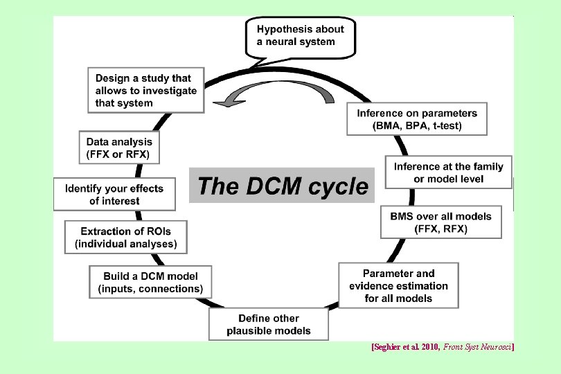 [Seghier et al. 2010, Front Syst Neurosci] 