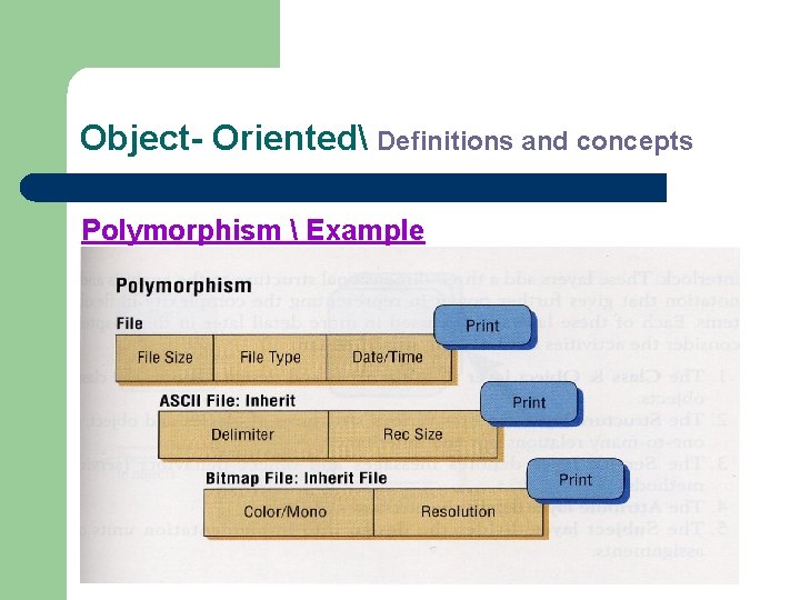 Object- Oriented Definitions and concepts Polymorphism  Example 