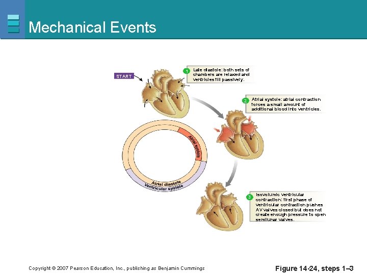 Mechanical Events 1 START Late diastole: both sets of chambers are relaxed and ventricles