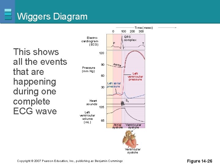 Wiggers Diagram 0 Electrocardiogram (ECG) This shows all the events that are happening during