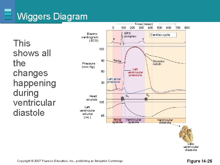Wiggers Diagram 0 This shows all the changes happening during ventricular diastole Electrocardiogram (ECG)