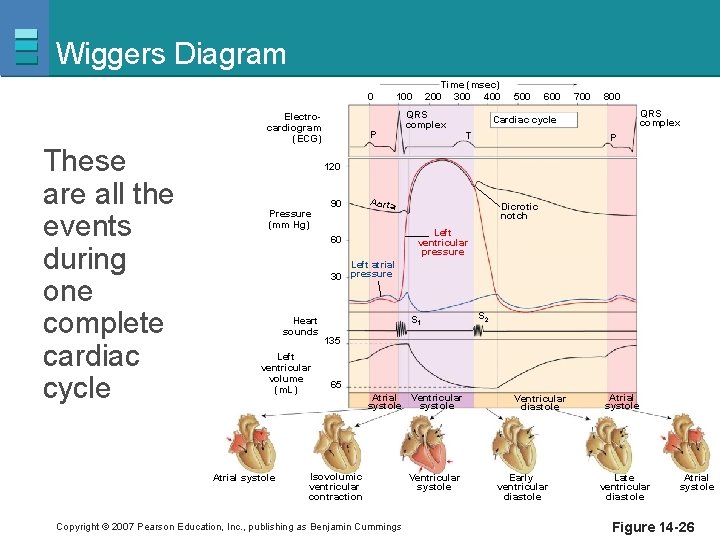 Wiggers Diagram 0 Electrocardiogram (ECG) These are all the events during one complete cardiac