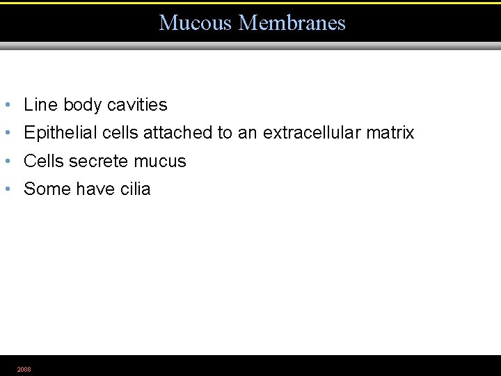 Mucous Membranes • Line body cavities • Epithelial cells attached to an extracellular matrix