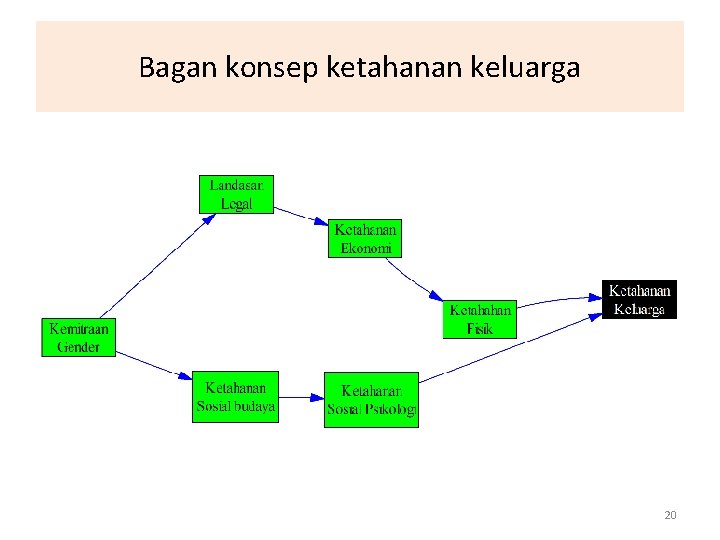 Bagan konsep ketahanan keluarga 20 