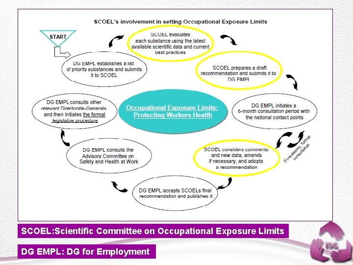 SCOEL: Scientific Committee on Occupational Exposure Limits DG EMPL: DG for Employment 