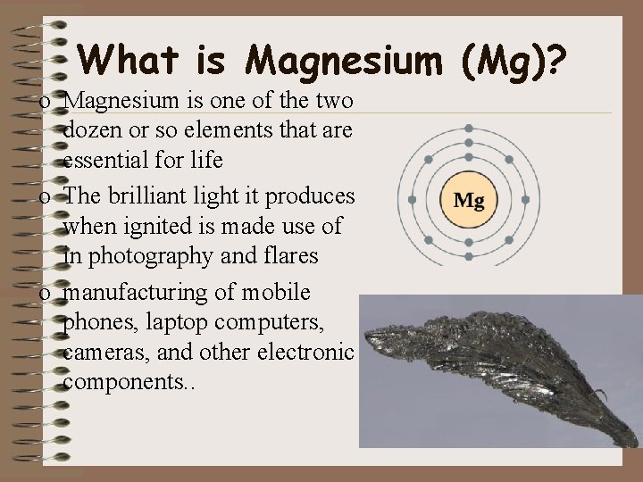 What is Magnesium (Mg)? o Magnesium is one of the two dozen or so