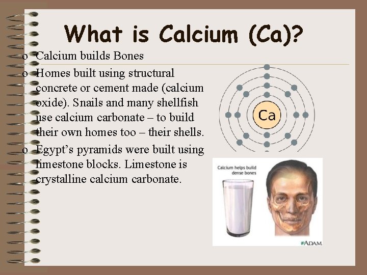 What is Calcium (Ca)? o Calcium builds Bones o Homes built using structural concrete