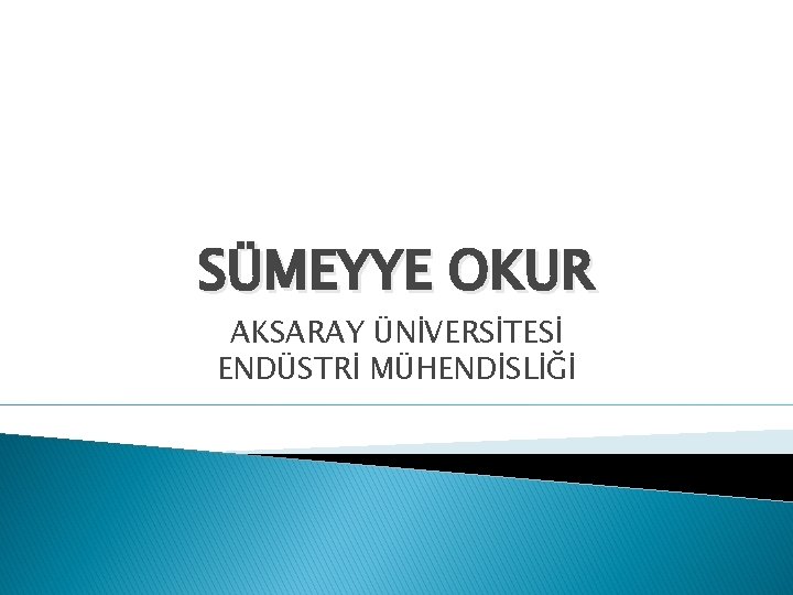 SÜMEYYE OKUR AKSARAY ÜNİVERSİTESİ ENDÜSTRİ MÜHENDİSLİĞİ 