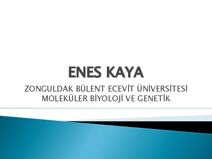 ENES KAYA ZONGULDAK BÜLENT ECEVİT ÜNİVERSİTESİ MOLEKÜLER BİYOLOJİ VE GENETİK 