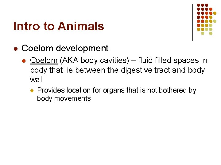 Intro to Animals l Coelom development l Coelom (AKA body cavities) – fluid filled