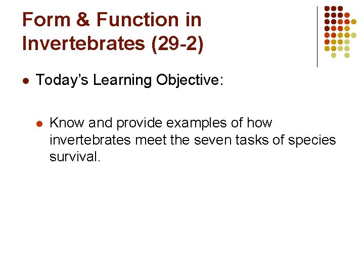Form & Function in Invertebrates (29 -2) l Today’s Learning Objective: l Know and
