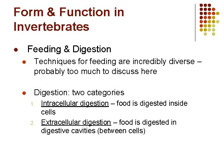 Form & Function in Invertebrates Feeding & Digestion l l Techniques for feeding are