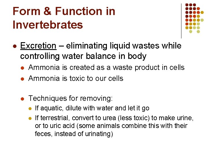 Form & Function in Invertebrates l Excretion – eliminating liquid wastes while controlling water