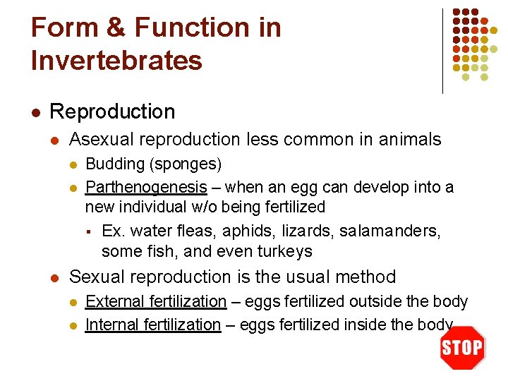 Form & Function in Invertebrates l Reproduction l Asexual reproduction less common in animals