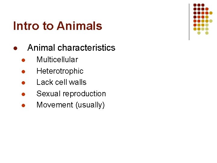 Intro to Animals Animal characteristics l l l Multicellular Heterotrophic Lack cell walls Sexual