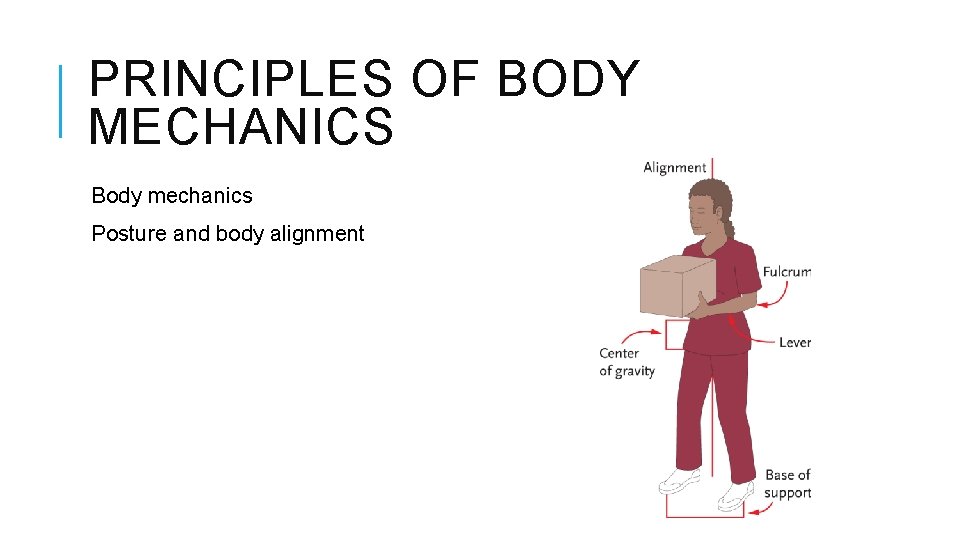 PRINCIPLES OF BODY MECHANICS Body mechanics Posture and body alignment 