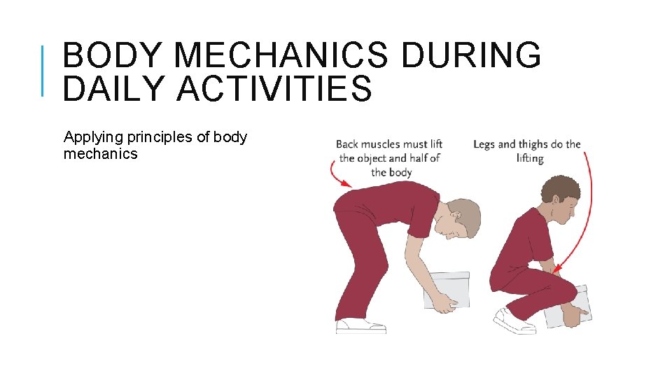 BODY MECHANICS DURING DAILY ACTIVITIES Applying principles of body mechanics 