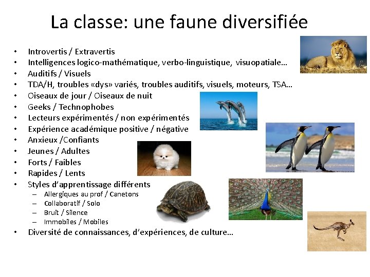 La classe: une faune diversifiée • • • • Introvertis / Extravertis Intelligences logico-mathématique,