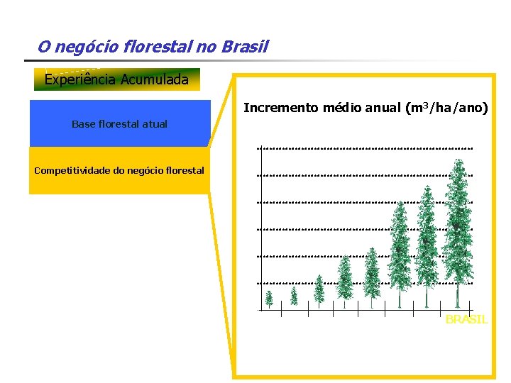 O negócio florestal no Brasil Experiência Acumulada Incremento médio anual (m 3/ha/ano) Base florestal