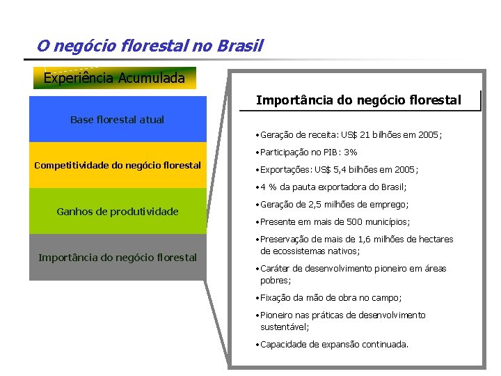 O negócio florestal no Brasil Experiência Acumulada Importância do negócio florestal Base florestal atual
