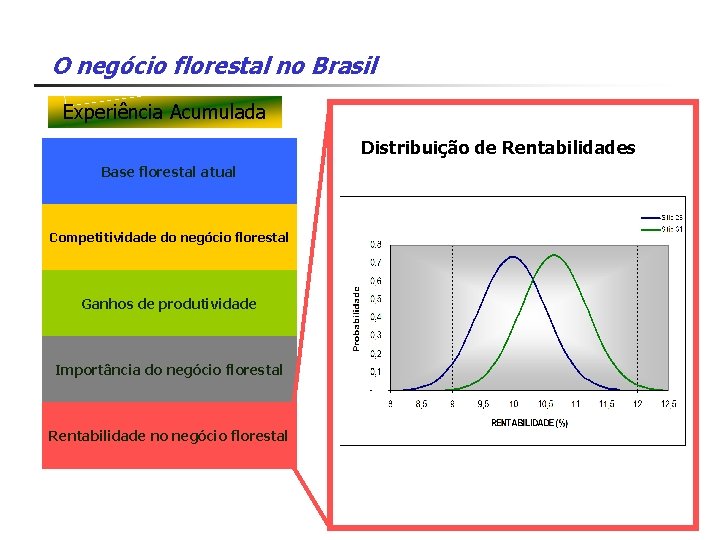 O negócio florestal no Brasil Experiência Acumulada Distribuição de Rentabilidades Base florestal atual Competitividade