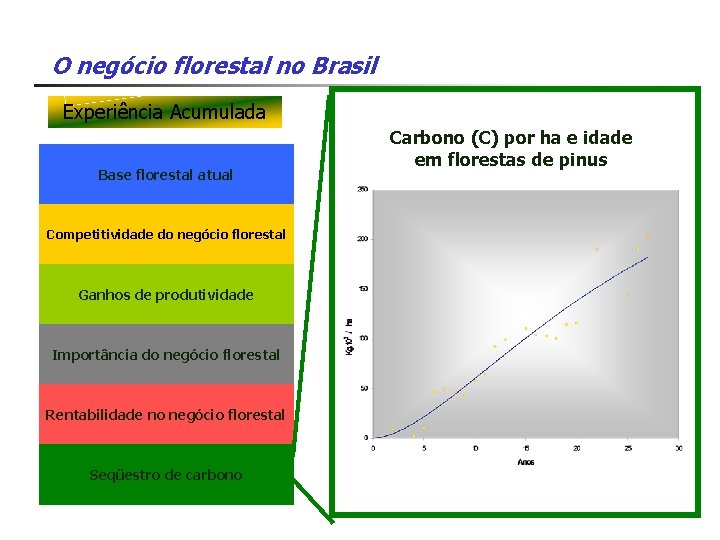 O negócio florestal no Brasil Experiência Acumulada Base florestal atual Competitividade do negócio florestal