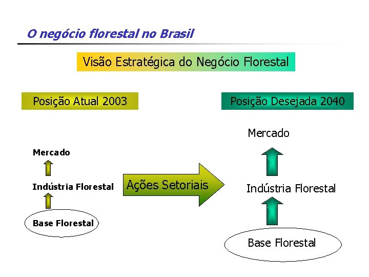 O negócio florestal no Brasil Visão Estratégica do Negócio Florestal Posição Atual 2003 Posição