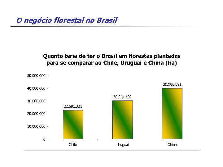 O negócio florestal no Brasil 