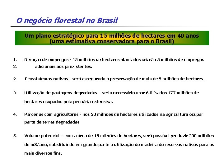 O negócio florestal no Brasil Um plano estratégico para 15 milhões de hectares em