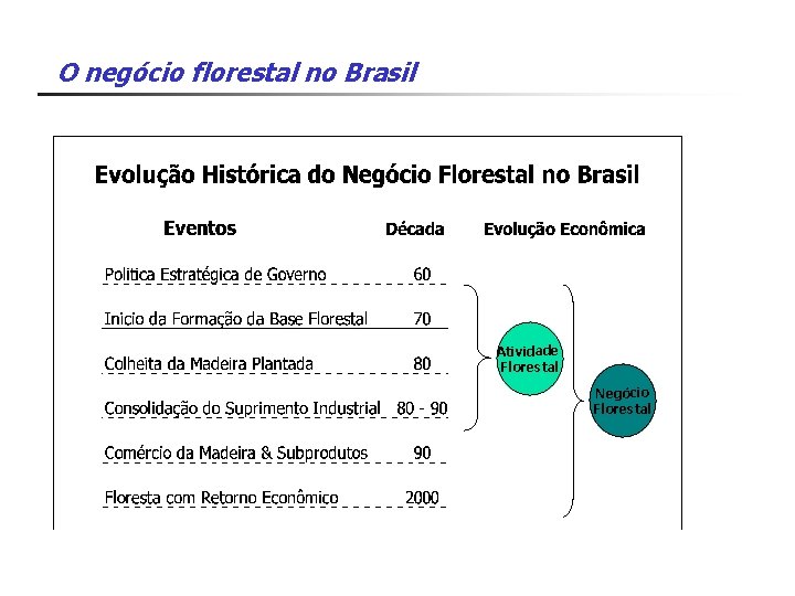 O negócio florestal no Brasil Atividade Florestal Negócio Florestal 