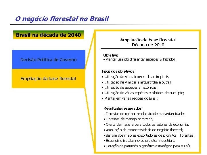 O negócio florestal no Brasil na década de 2040 Decisão Política de Governo Ampliação