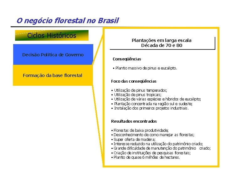 O negócio florestal no Brasil Ciclos Históricos Decisão Política de Governo Plantações em larga