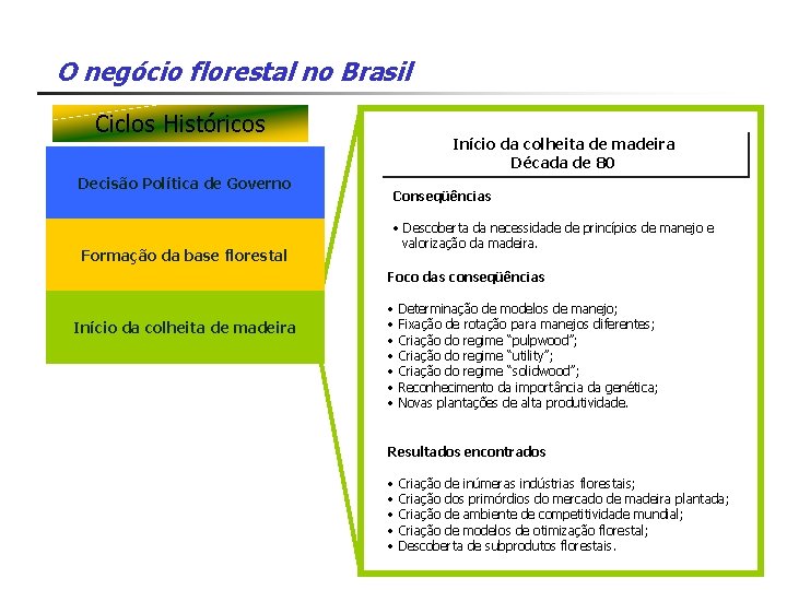 O negócio florestal no Brasil Ciclos Históricos Decisão Política de Governo Formação da base