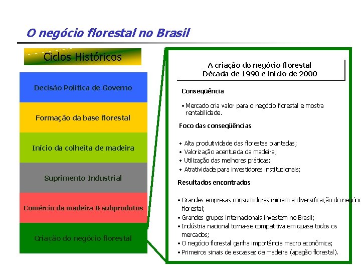 O negócio florestal no Brasil Ciclos Históricos Decisão Política de Governo Formação da base