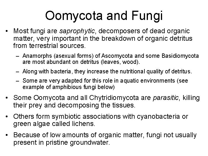 Oomycota and Fungi • Most fungi are saprophytic, decomposers of dead organic matter, very