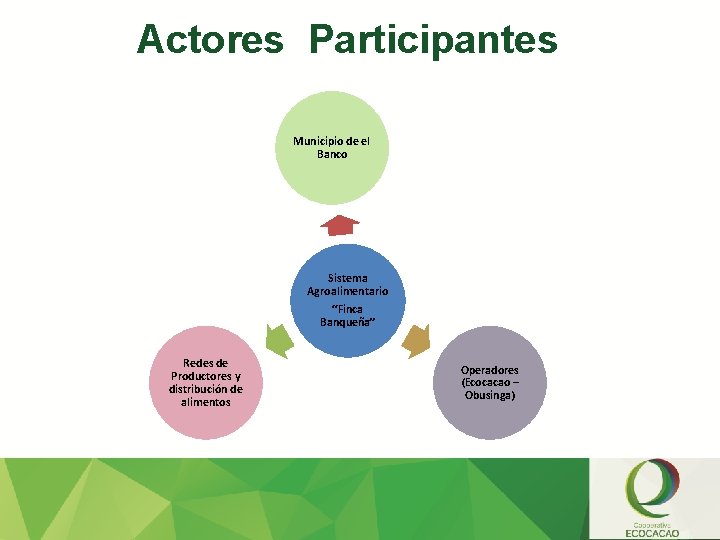 Actores Participantes Municipio de el Banco Sistema Agroalimentario “Finca Banqueña” Redes de Productores y
