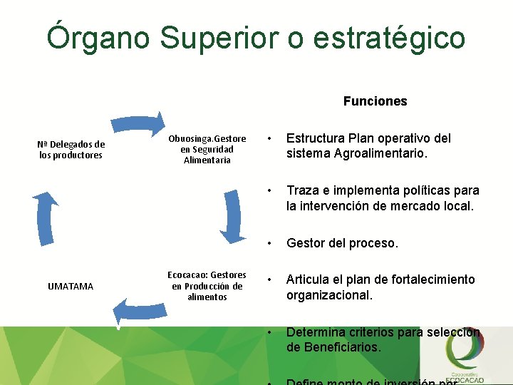 Órgano Superior o estratégico Funciones Nª Delegados de los productores UMATAMA Obuosinga. Gestore en