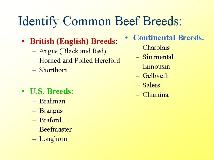 Identify Common Beef Breeds: • British (English) Breeds: • Continental Breeds: – Angus (Black