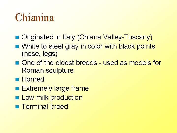 Chianina n n n n Originated in Italy (Chiana Valley-Tuscany) White to steel gray