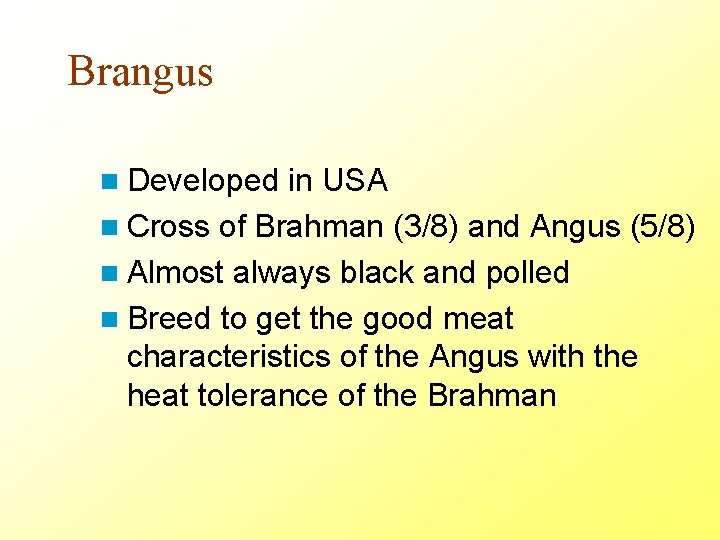 Brangus n Developed in USA n Cross of Brahman (3/8) and Angus (5/8) n