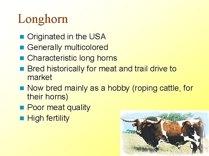 Longhorn n n n Originated in the USA Generally multicolored Characteristic long horns Bred