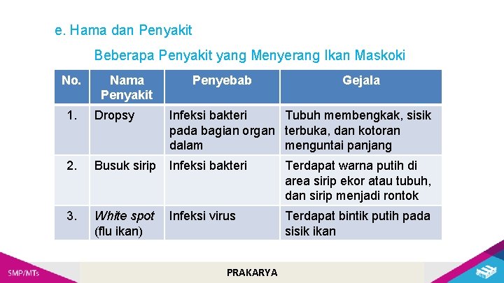 e. Hama dan Penyakit Beberapa Penyakit yang Menyerang Ikan Maskoki No. Nama Penyakit Penyebab