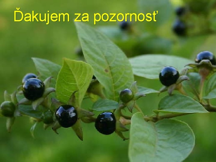 Ďakujem za pozornosť 