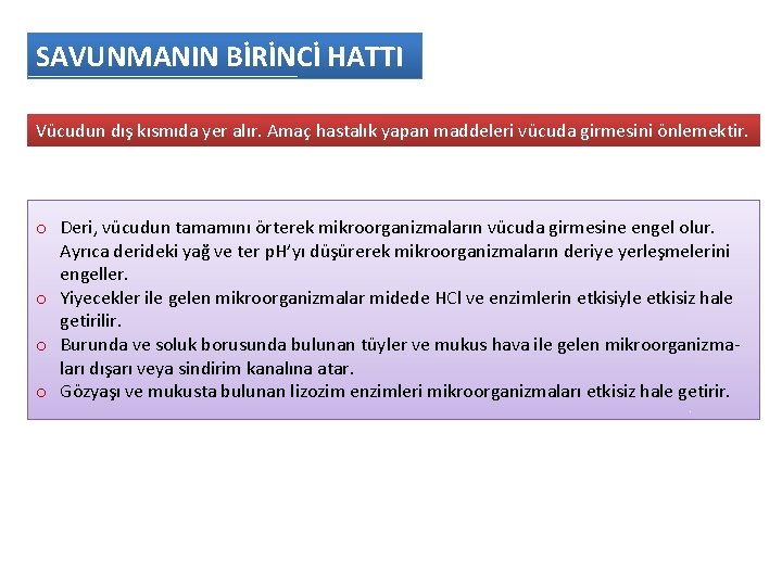 SAVUNMANIN BİRİNCİ HATTI Vücudun dış kısmıda yer alır. Amaç hastalık yapan maddeleri vücuda girmesini